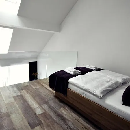 Апартаменты The Art House Skofljica
