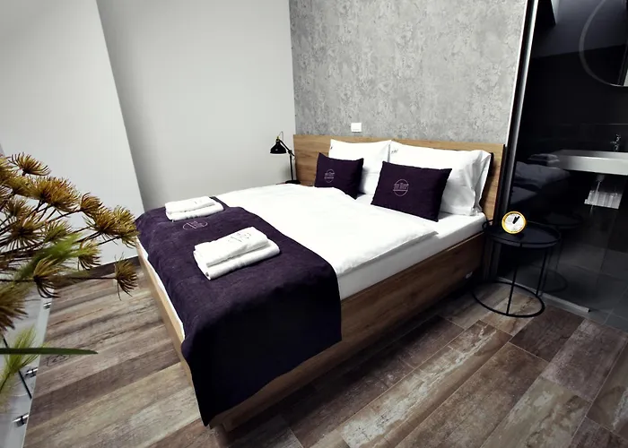 The Art House 公寓 斯科吉卡