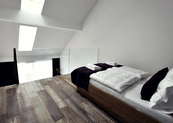 The Art House 公寓 斯科吉卡