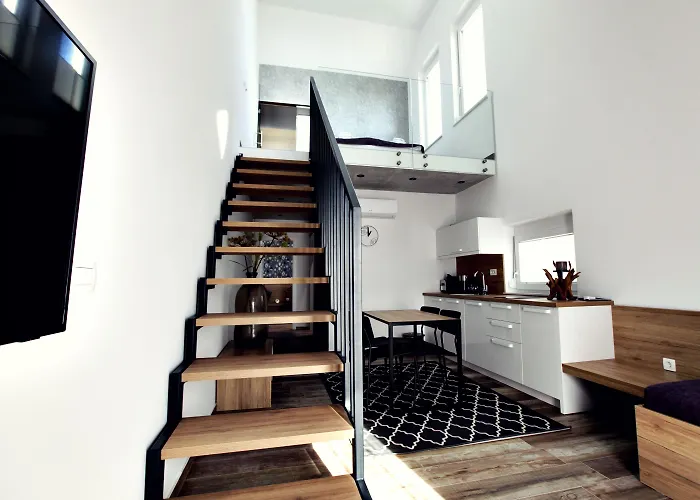 The Art House 斯科吉卡