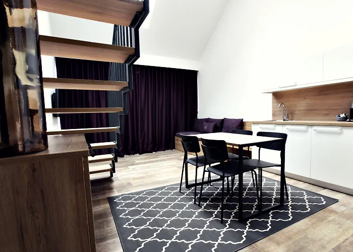 The Art House * 斯科吉卡