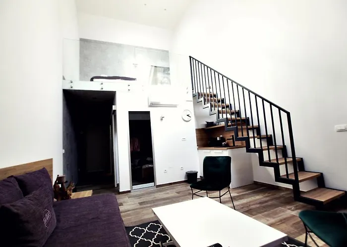 The Art House * 斯科吉卡