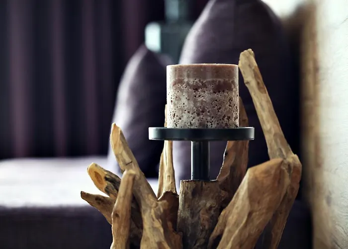 The Art House 斯科吉卡