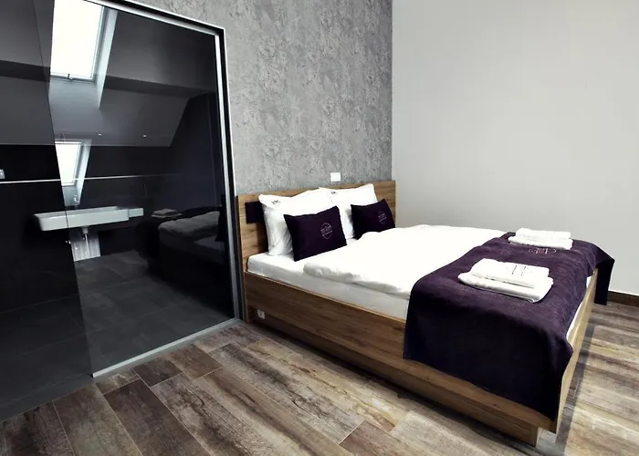 The Art House * 斯科吉卡