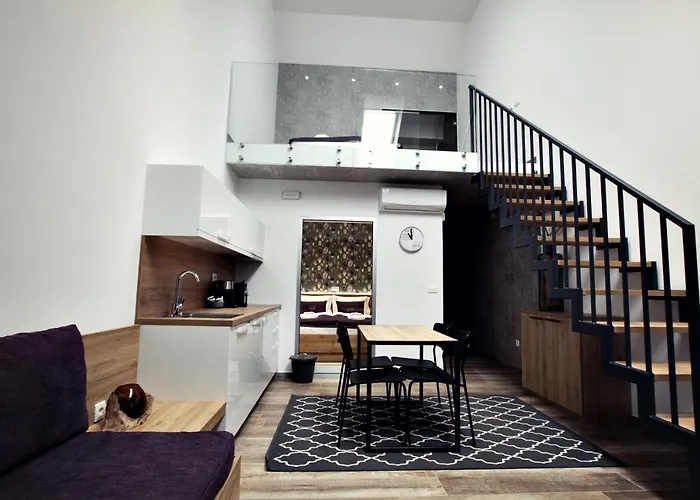 The Art House 斯科吉卡