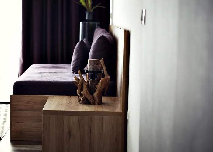 The Art House 斯科吉卡